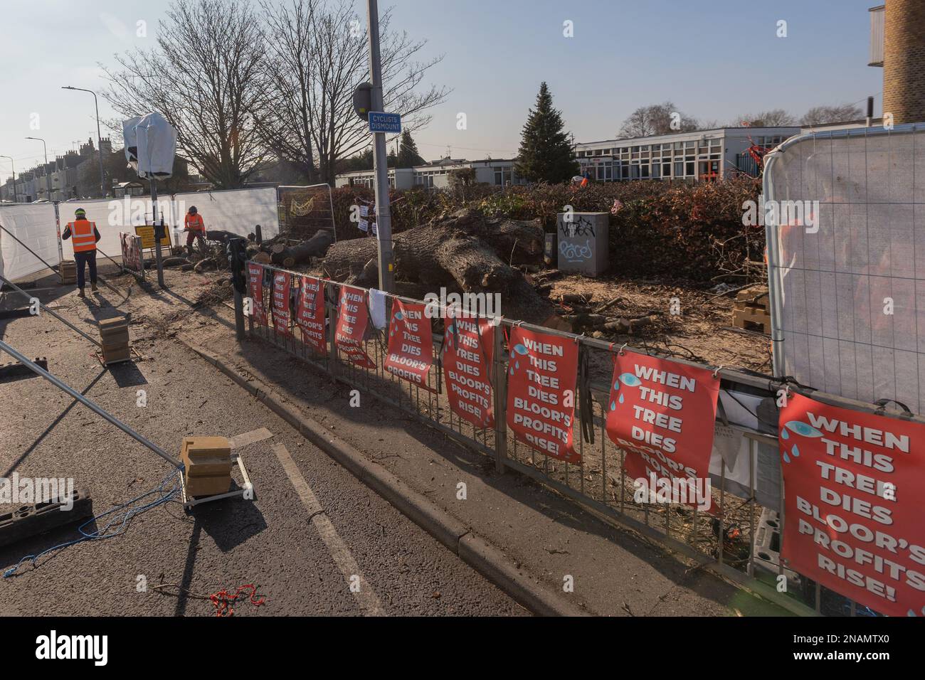 Rochford, UK. 13th Feb, 2023. Contractors remove the 100 year old Holt