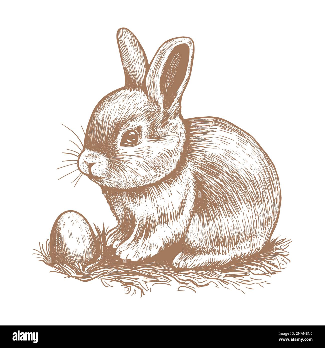 Rabbit and egg vector illustration Stock Vector Image & Art - Alamy