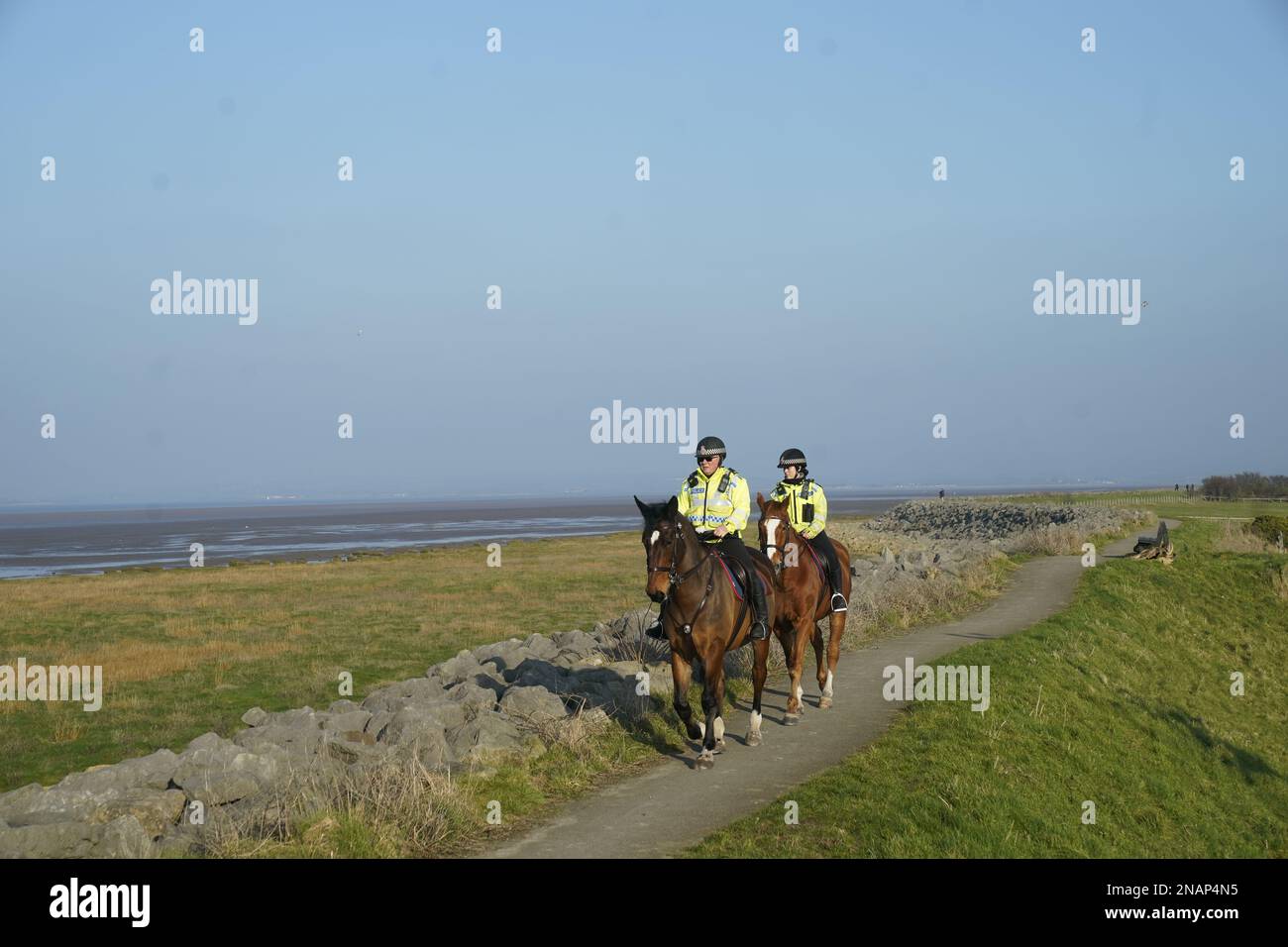 Mounted police in Knott End-on-Sea take part in the search for missing woman Nicola Bulley, 45, who vanished on January 27 in Wyre, Lancashire, while walking her springer spaniel Willow shortly after dropping her daughters, aged six and nine, at school. Picture date: Monday February 13, 2023. Stock Photo