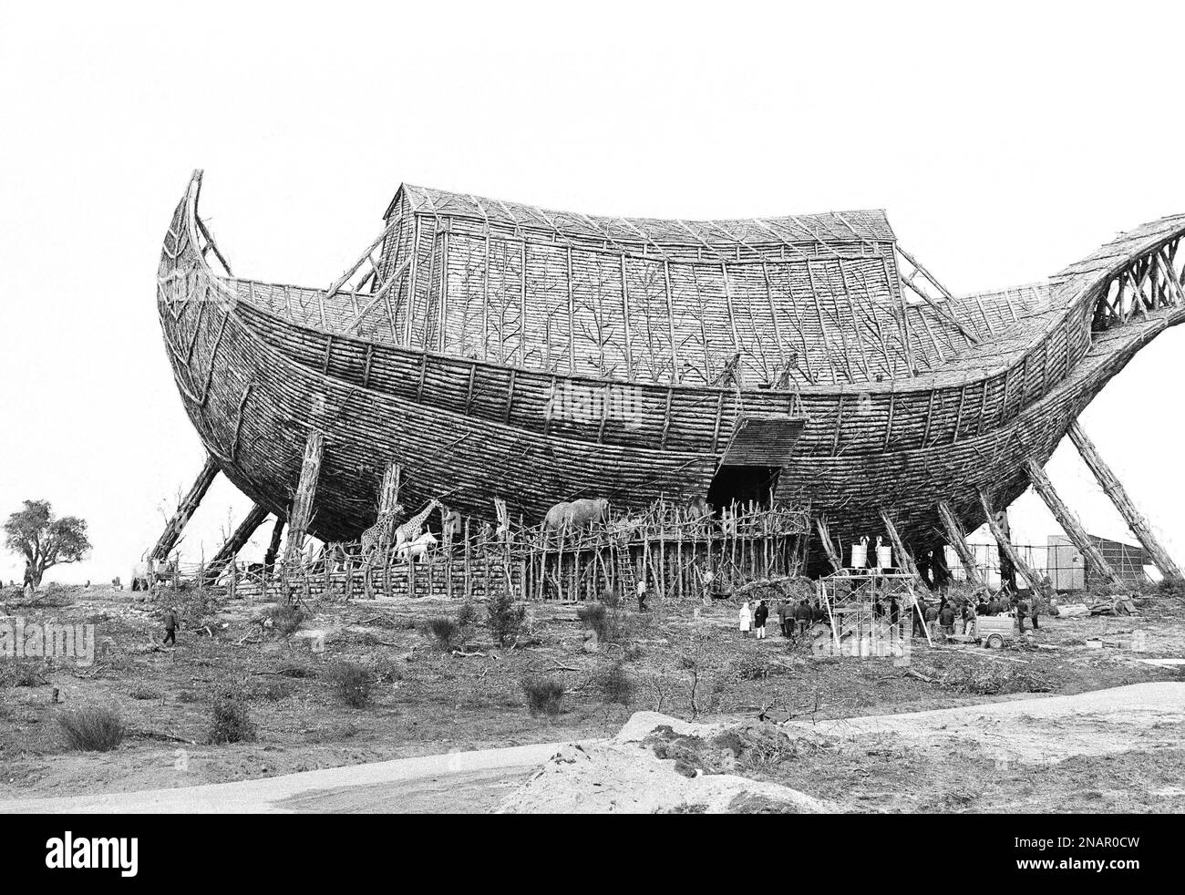 Pairs of animals walk up ramp and into “Noah’s Ark” on a film set near