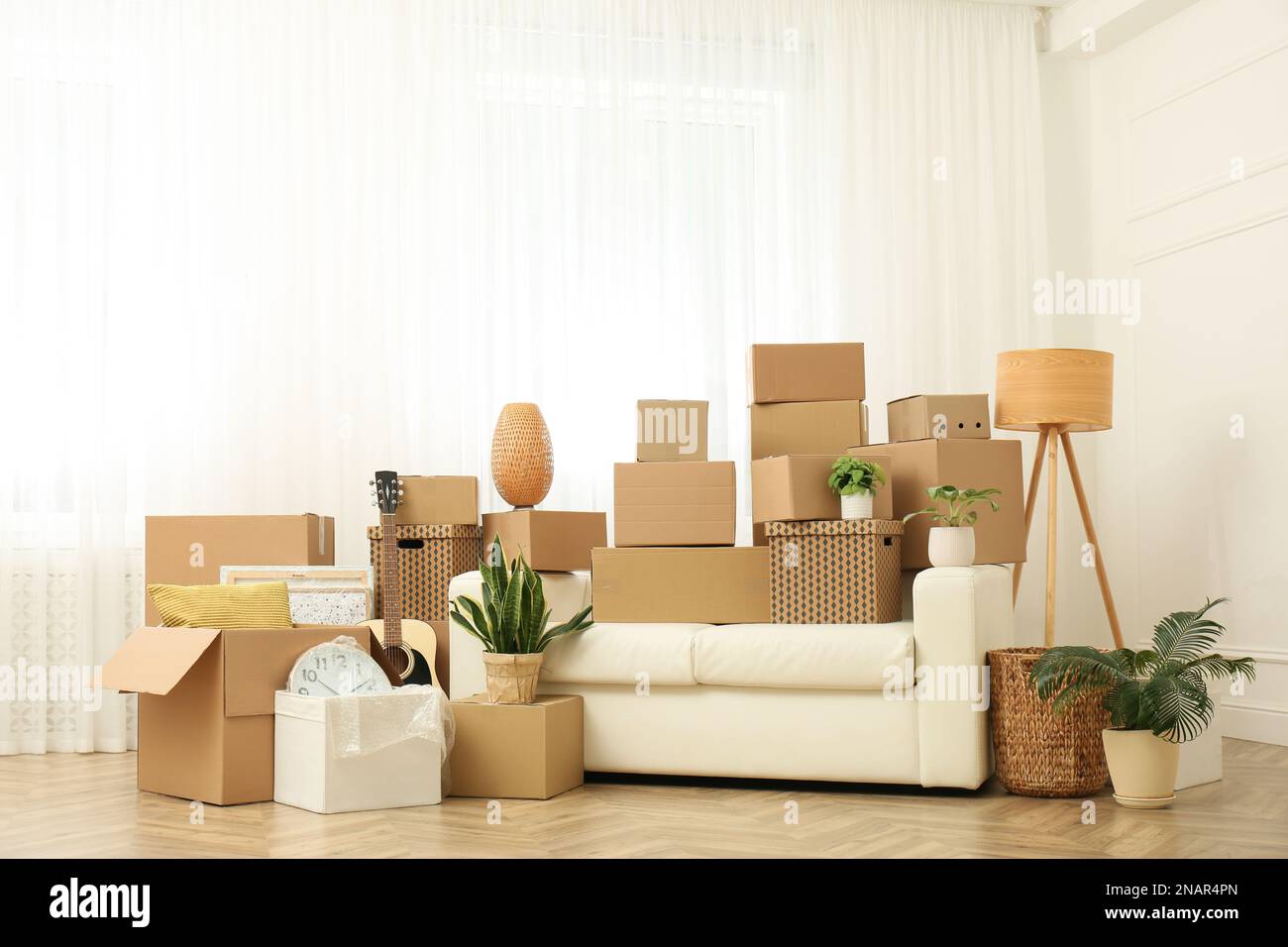 Sofa cardboard boxes plants hi-res stock photography and images - Alamy