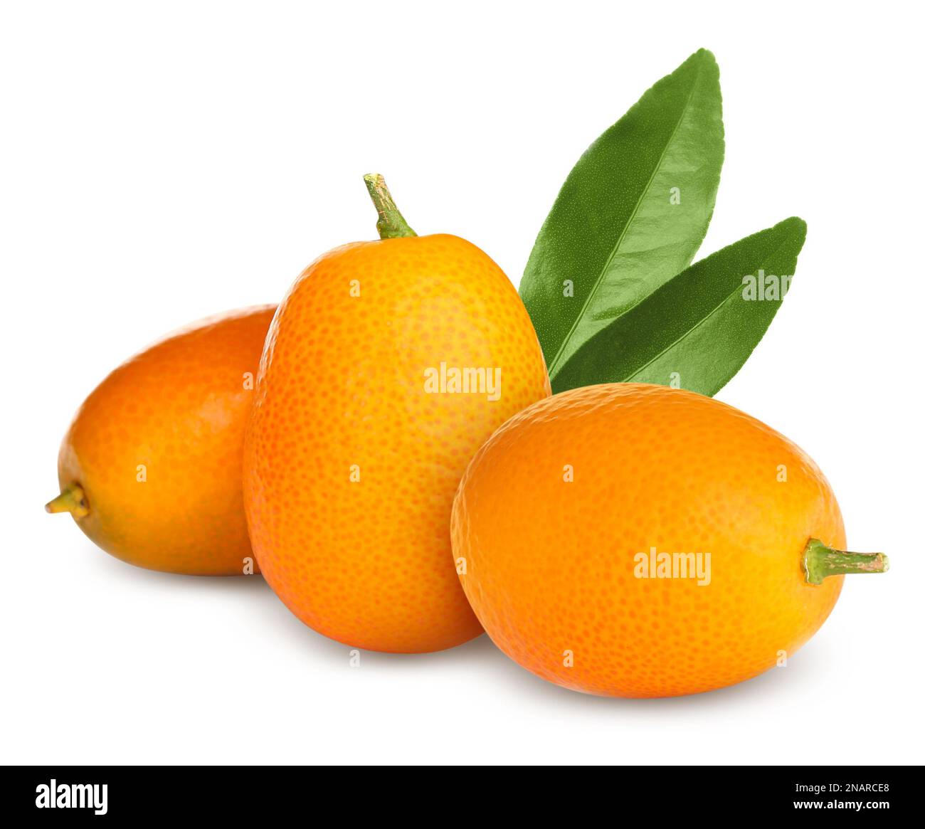 Fresh ripe kumquat fruits on white background Stock Photo - Alamy