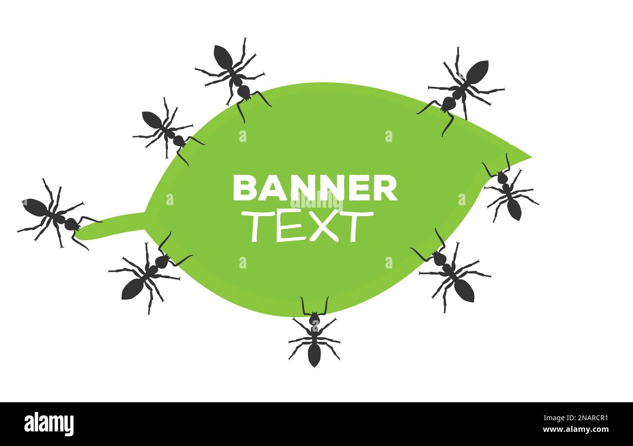 Ant horizontal banner Stock Vector