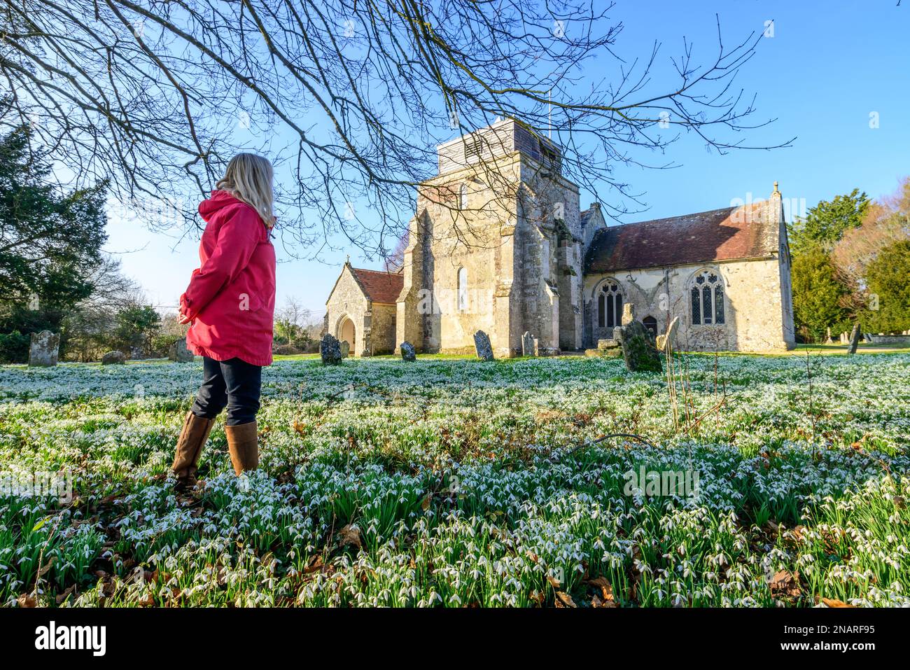 Damerham, Fordingbridge, Hampshire, England, UK, 13th February 2023