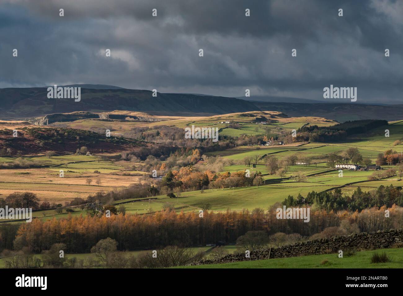 Vary strong late autumn sunshine on Upper Teesdale between Bowlees and the quarry in the  distance, as seen from Stable Edge Stock Photo