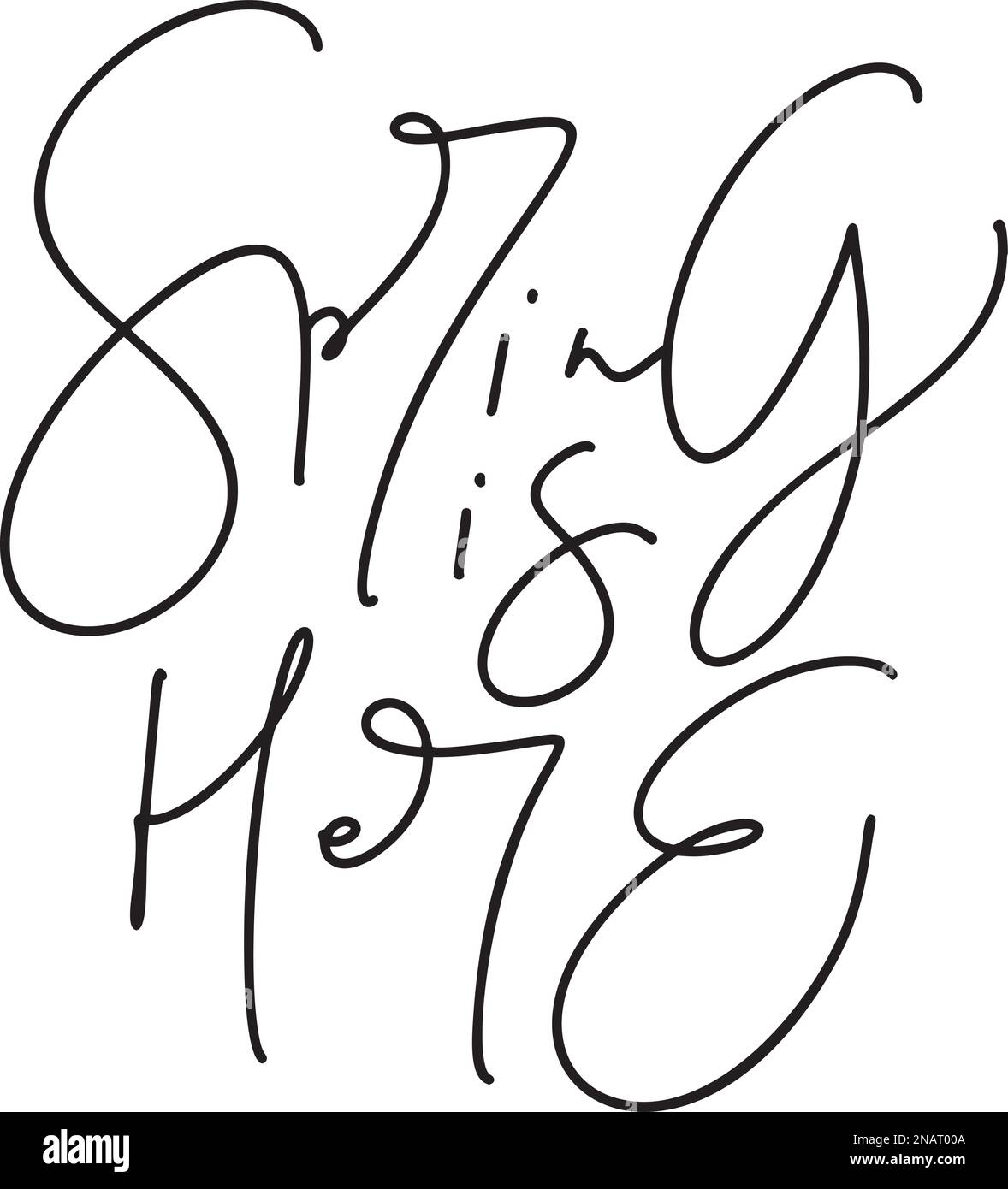 Spring is here lettering lettering vector. Modern style brush