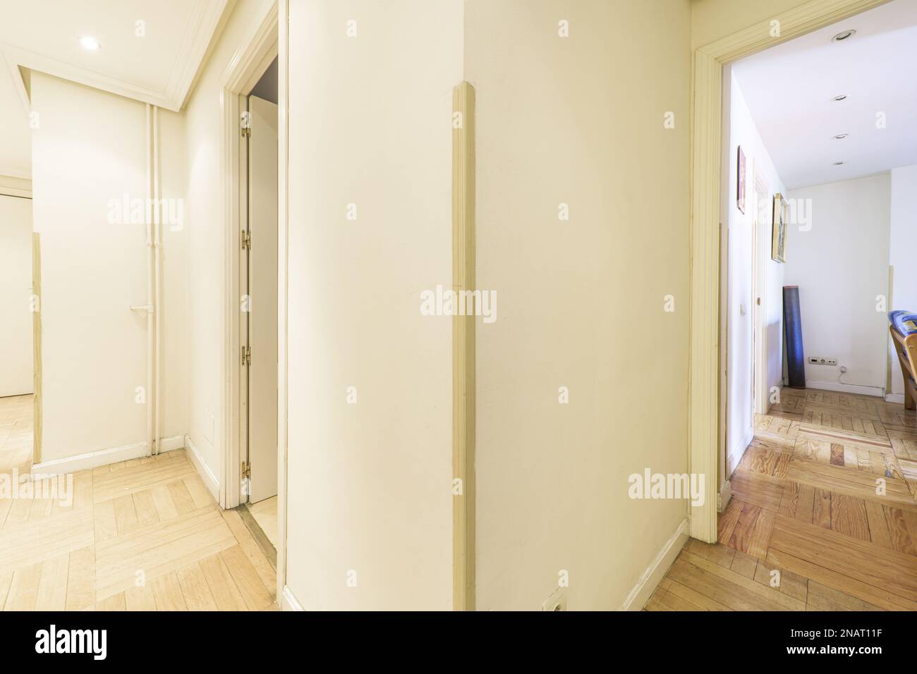 Hallway of a house with pine wood floors and white wooden doors and