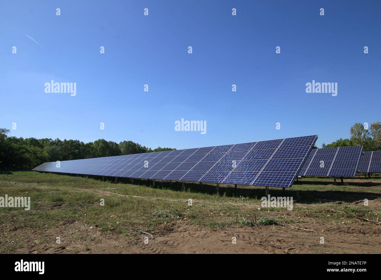 Renewable solar power plant with sunshine. Solar panel, photovoltaic