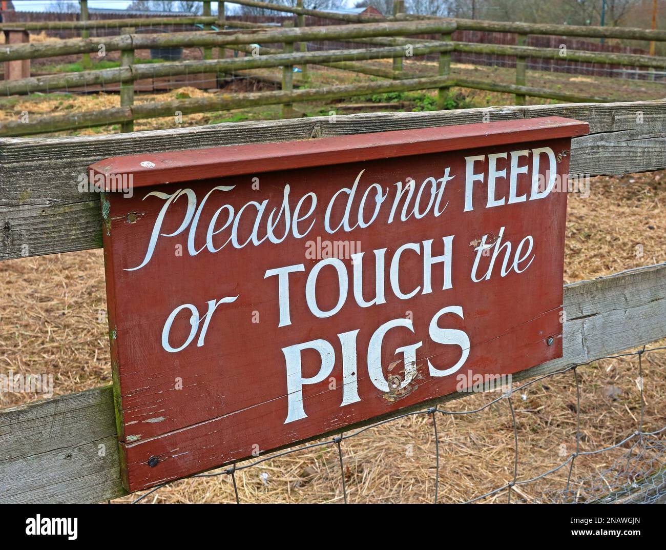 Brown farmyard sign Please do not feed or Touch the Pigs Stock Photo