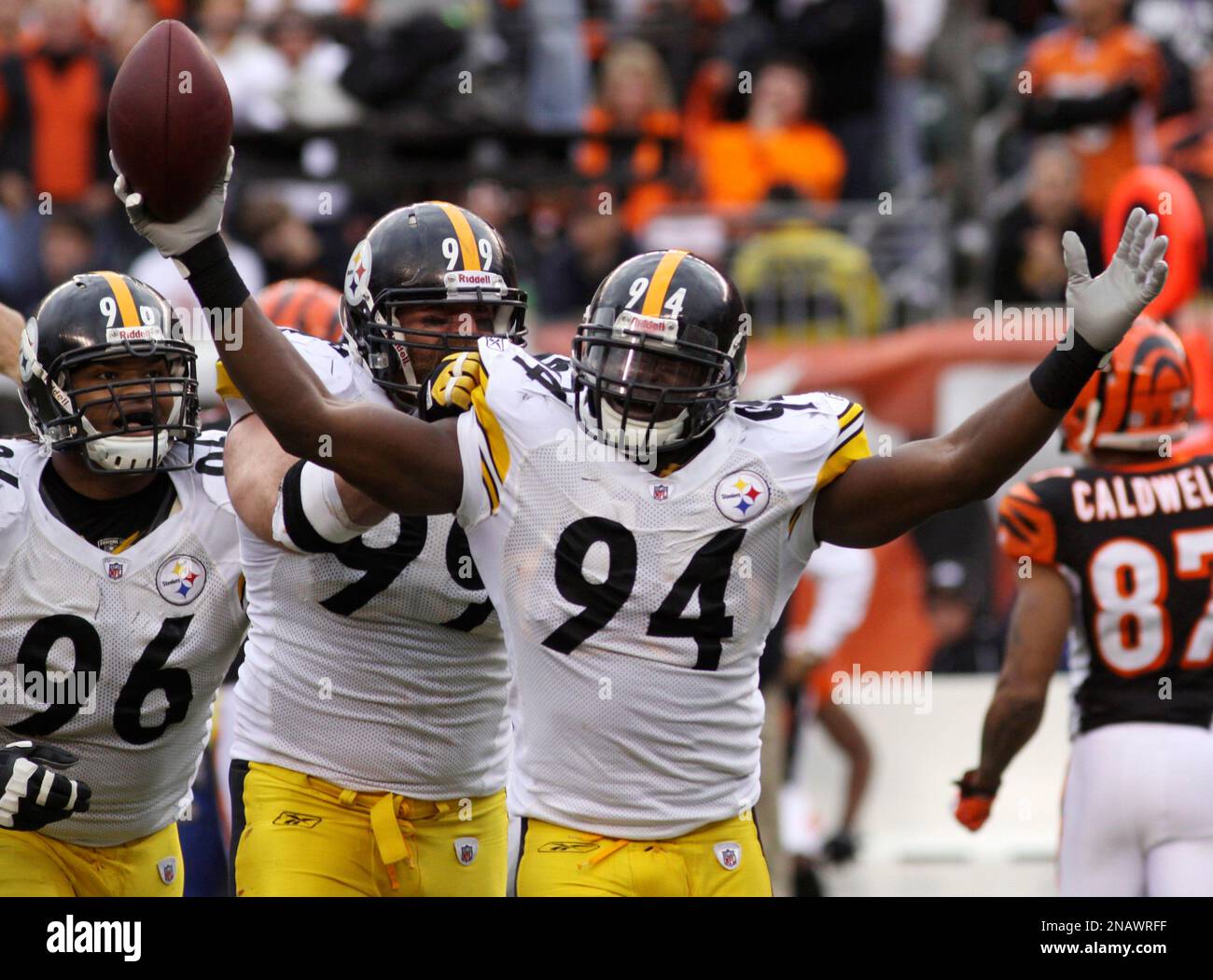 Pittsburgh Steelers linebacker Ziggy Hood (96) in action against