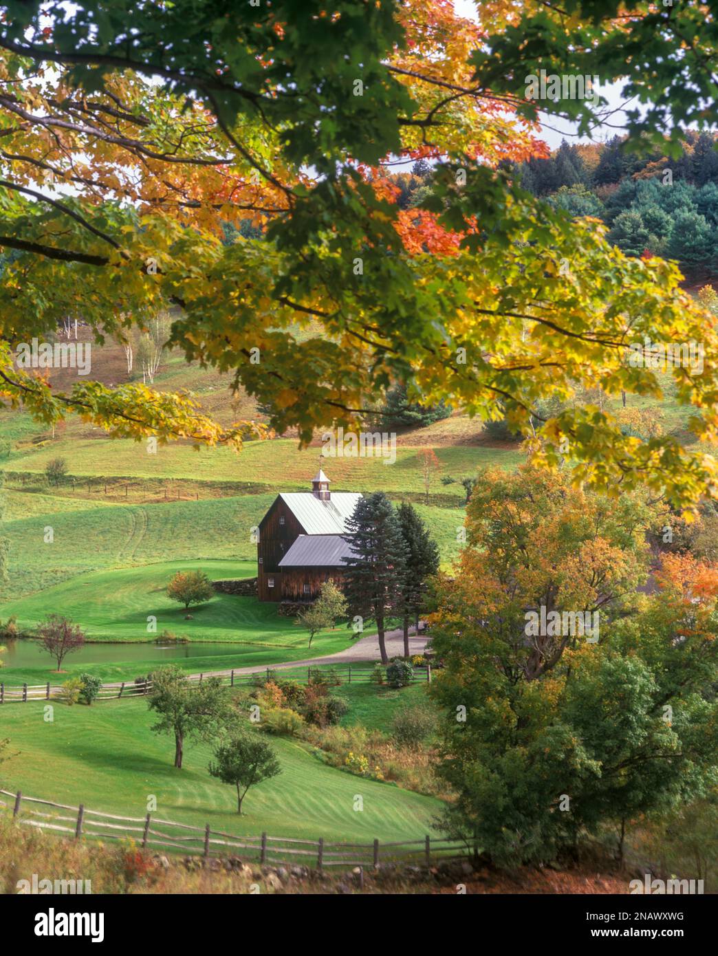 FALL FOLIAGE GRAY FARM WOODSTOCK VERMONT USA Stock Photo