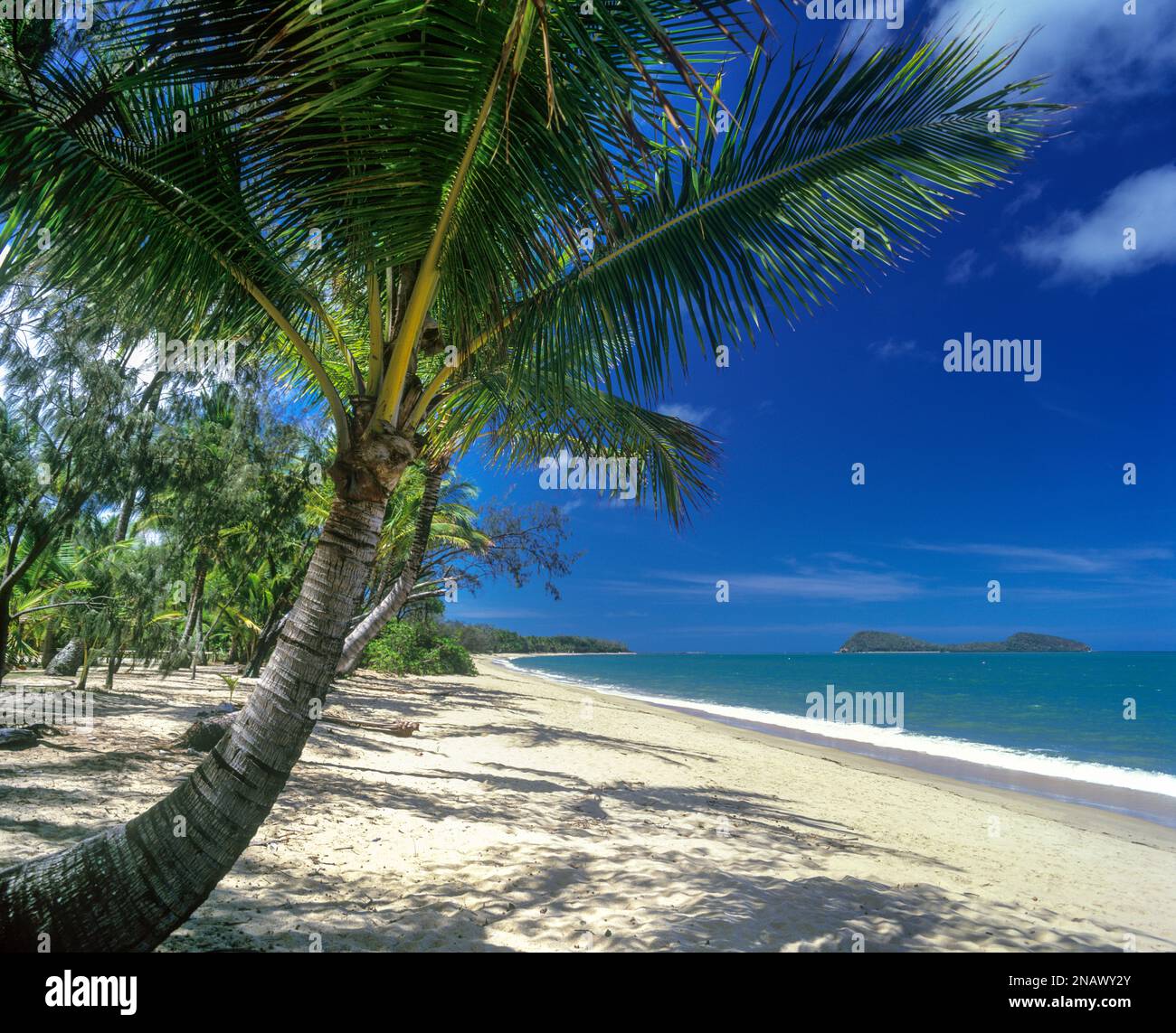 PALM COVE BEACH NORTH QUEENSLAND COASTLINE AUSTRALIA Stock Photo Alamy