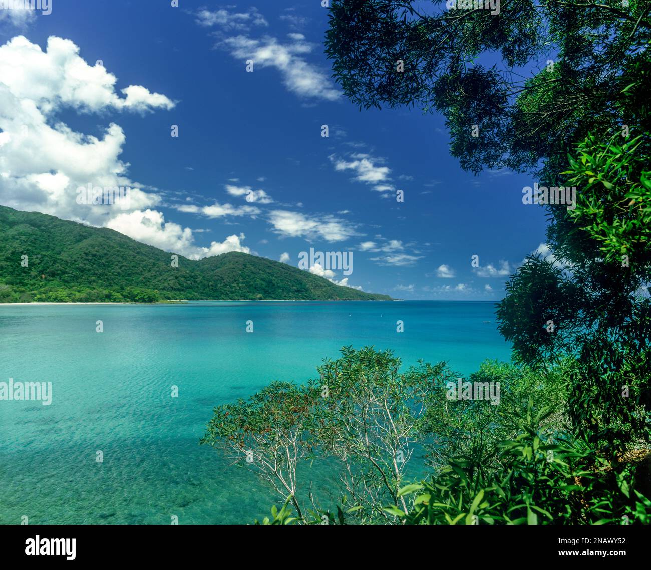 CAPE TRIBULATION DAINTREE RAINFOREST NORTH QUEENSLAND COASTLINE