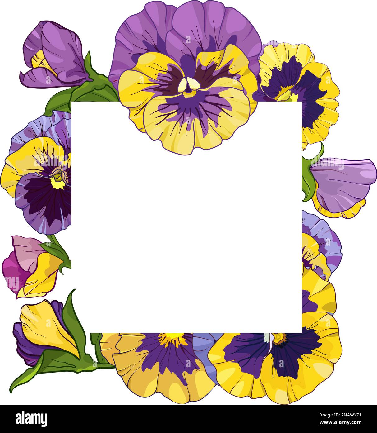 square frame with pansy flowers, yellow and purple flowers green leaves ornament , vector illustration Stock Vector