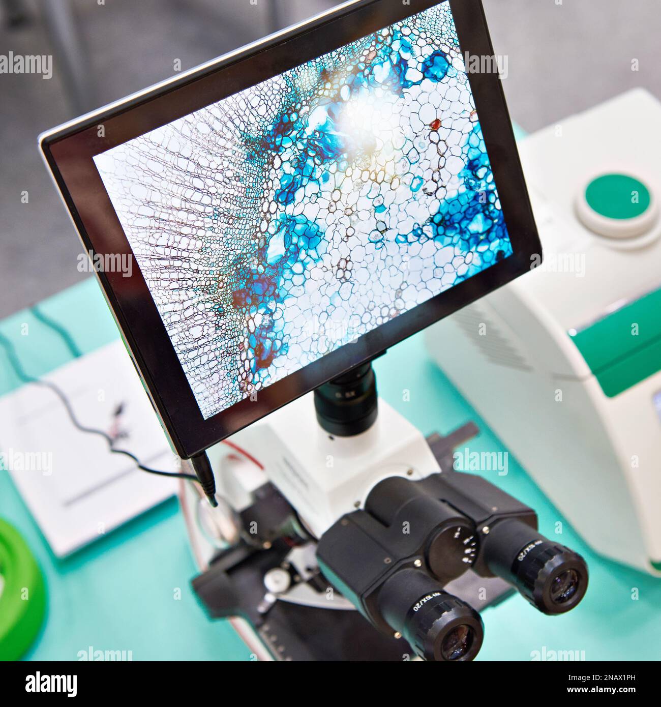 Research stereo microscope with monitor Stock Photo Alamy