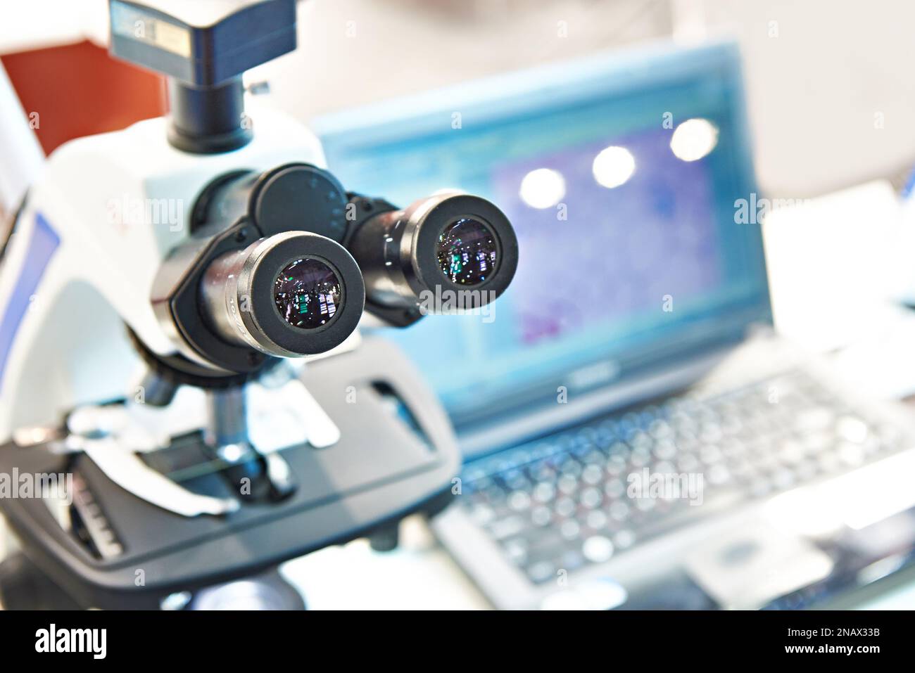 Microscope botany hires stock photography and images Alamy