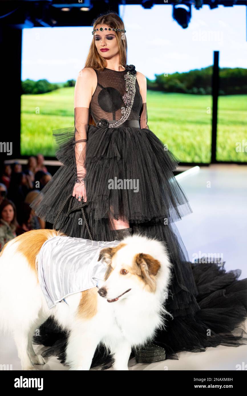Furbaby catwalk hires stock photography and images Alamy