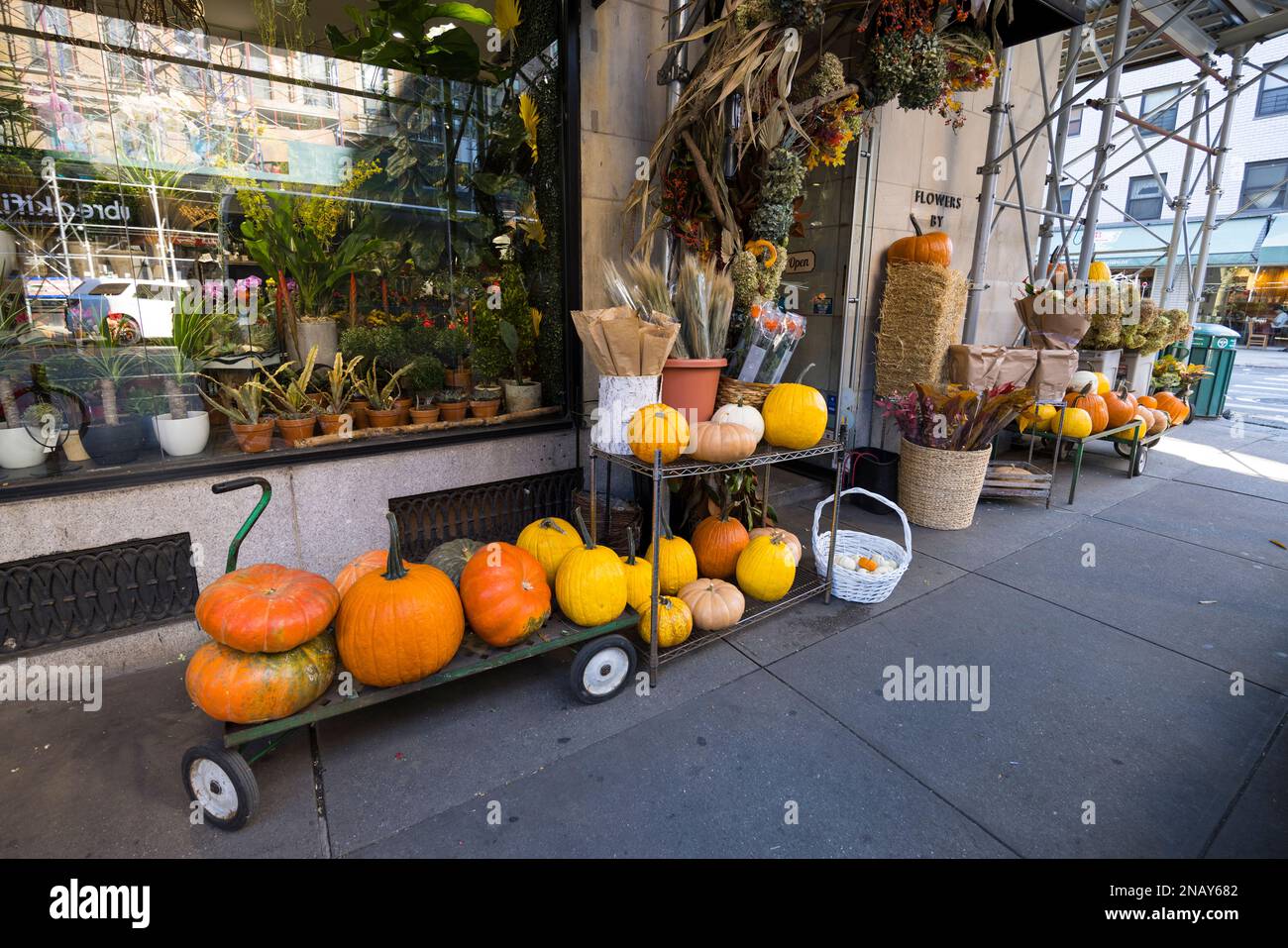 Halloween pumpkins are displayed for sale in Upper East Manhattan 2022 Stock Photo