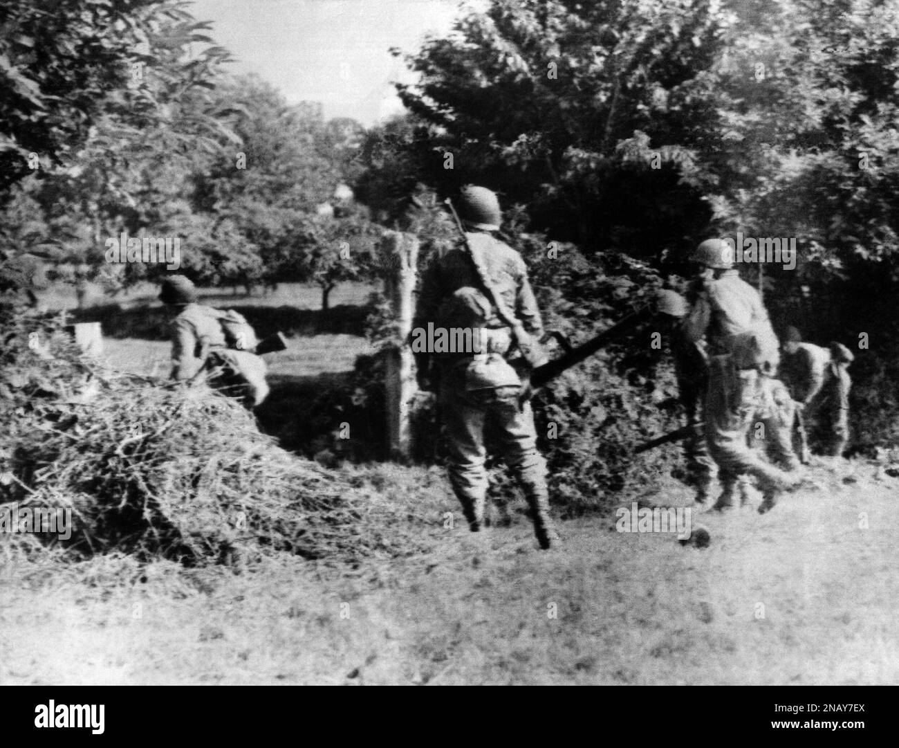 American Infantrymen Start Through A Hole In Thick Hedge Near Mortain