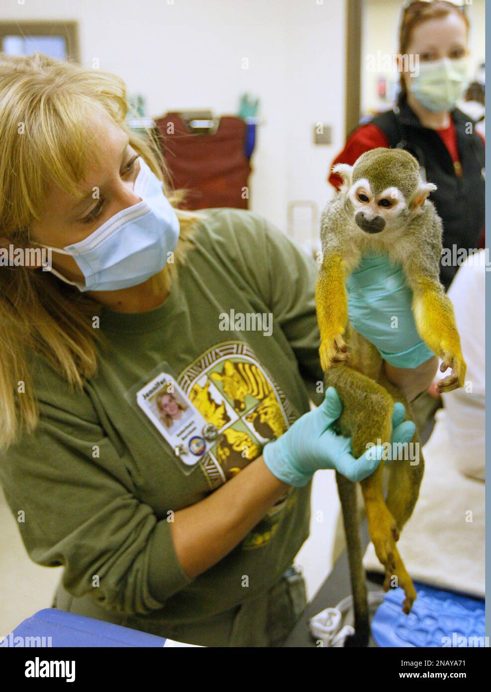 As veterinary resident Alicia Hahn, right, looks on, Jennifer D