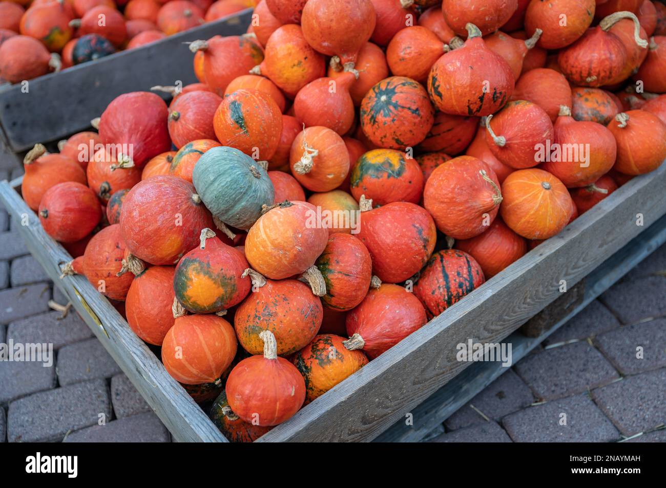 Orange hokkaido pumpkins lying in a wooden box outdoors for sale at a ...