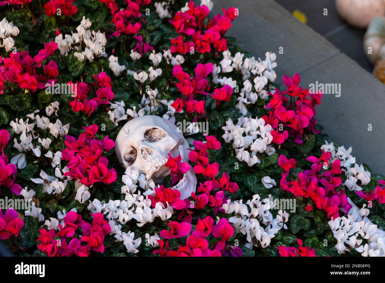 Annual Halloween decorations are decorated in Upper East Side Manhattan on 2022. Stock Photo