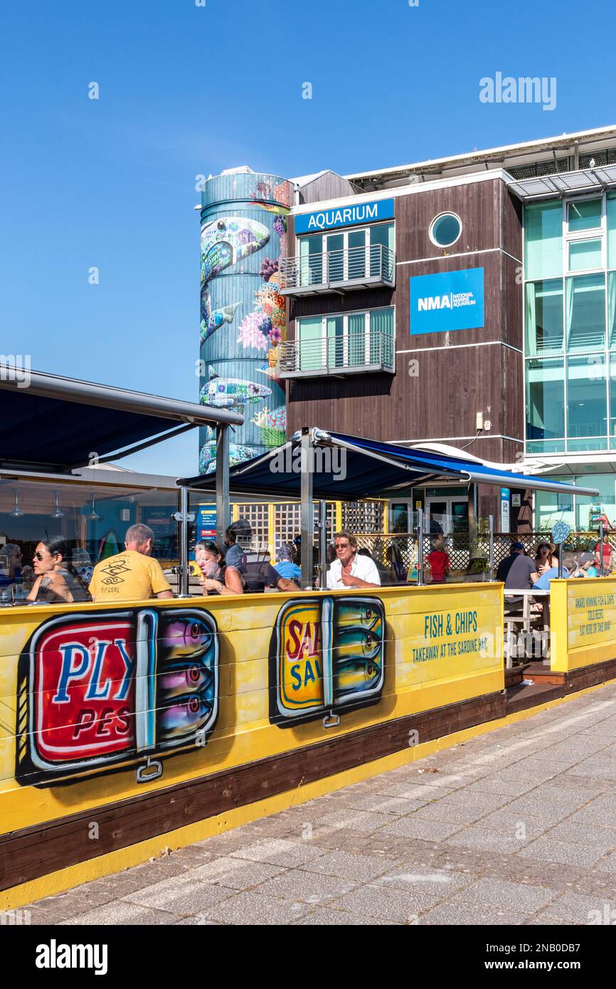 People sit in the sunshine eating out at the Rockfish Sardine Bar