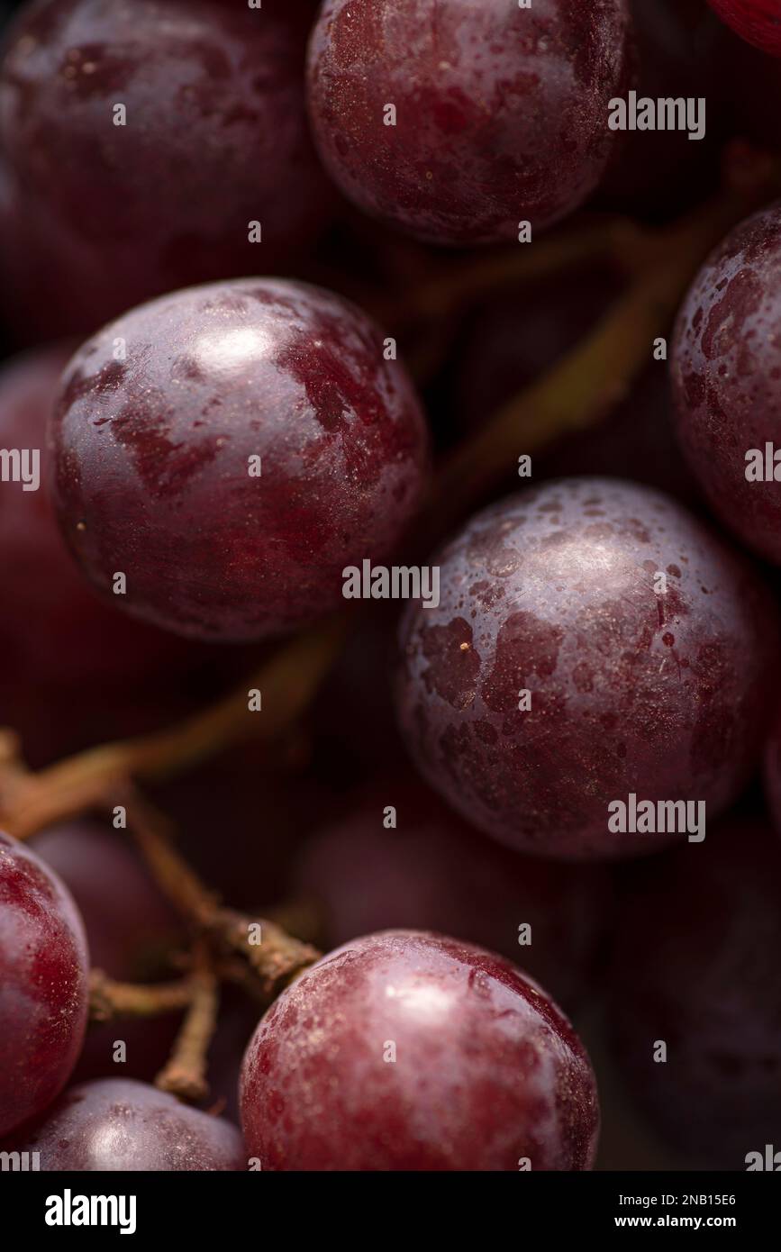 Macro Photos of grapes. CloseUps shots of grapes Stock Photo Alamy