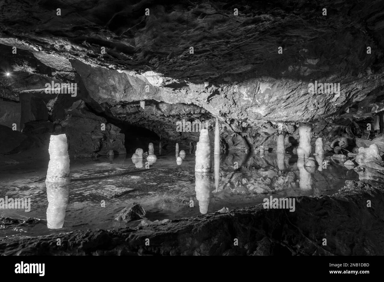 Cheddar caves nature reserve hi-res stock photography and images - Alamy