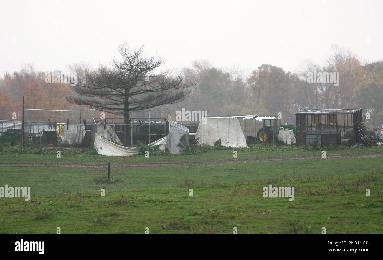 Empty cages can be seen at the Muskingum County Animal Farm Thursday