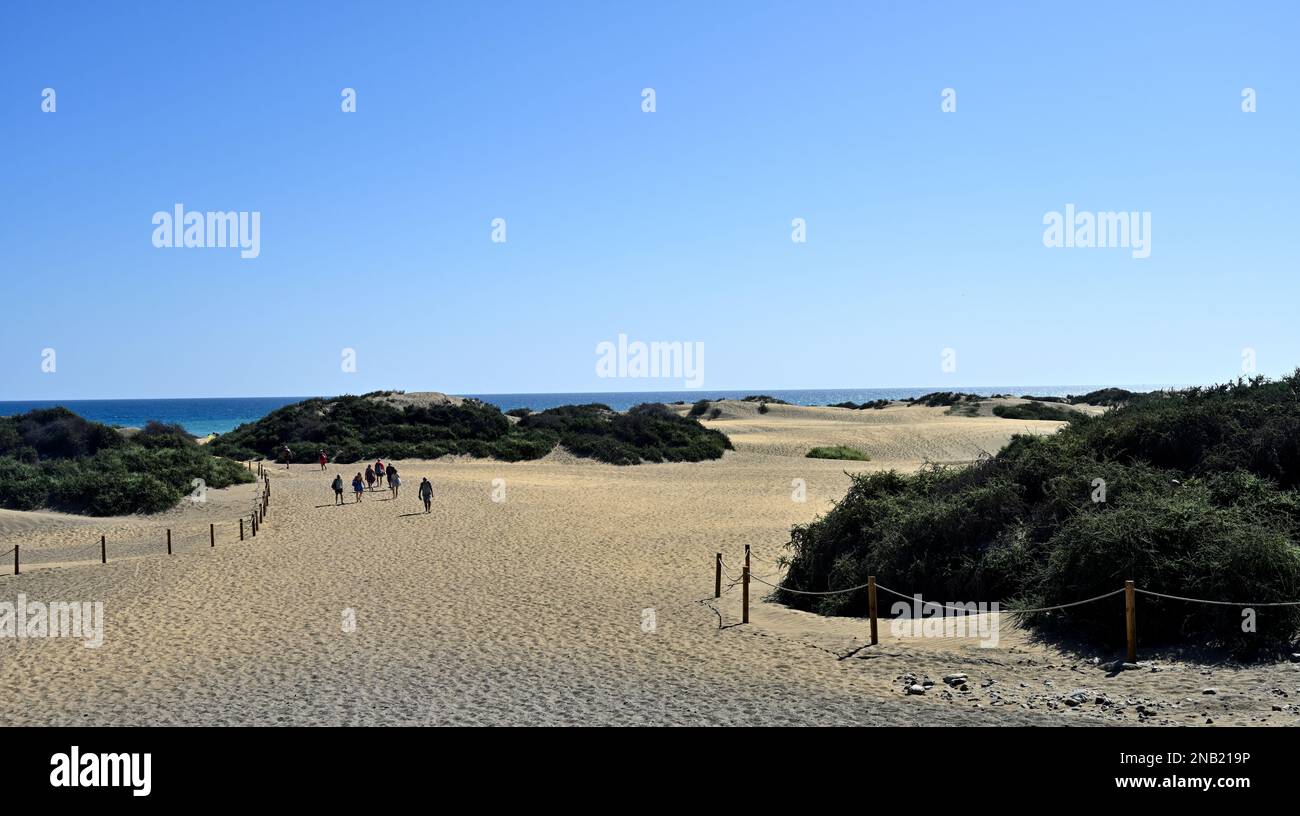 People walking across Maspalomas Sand Dunes, Canary Islands Stock Photo