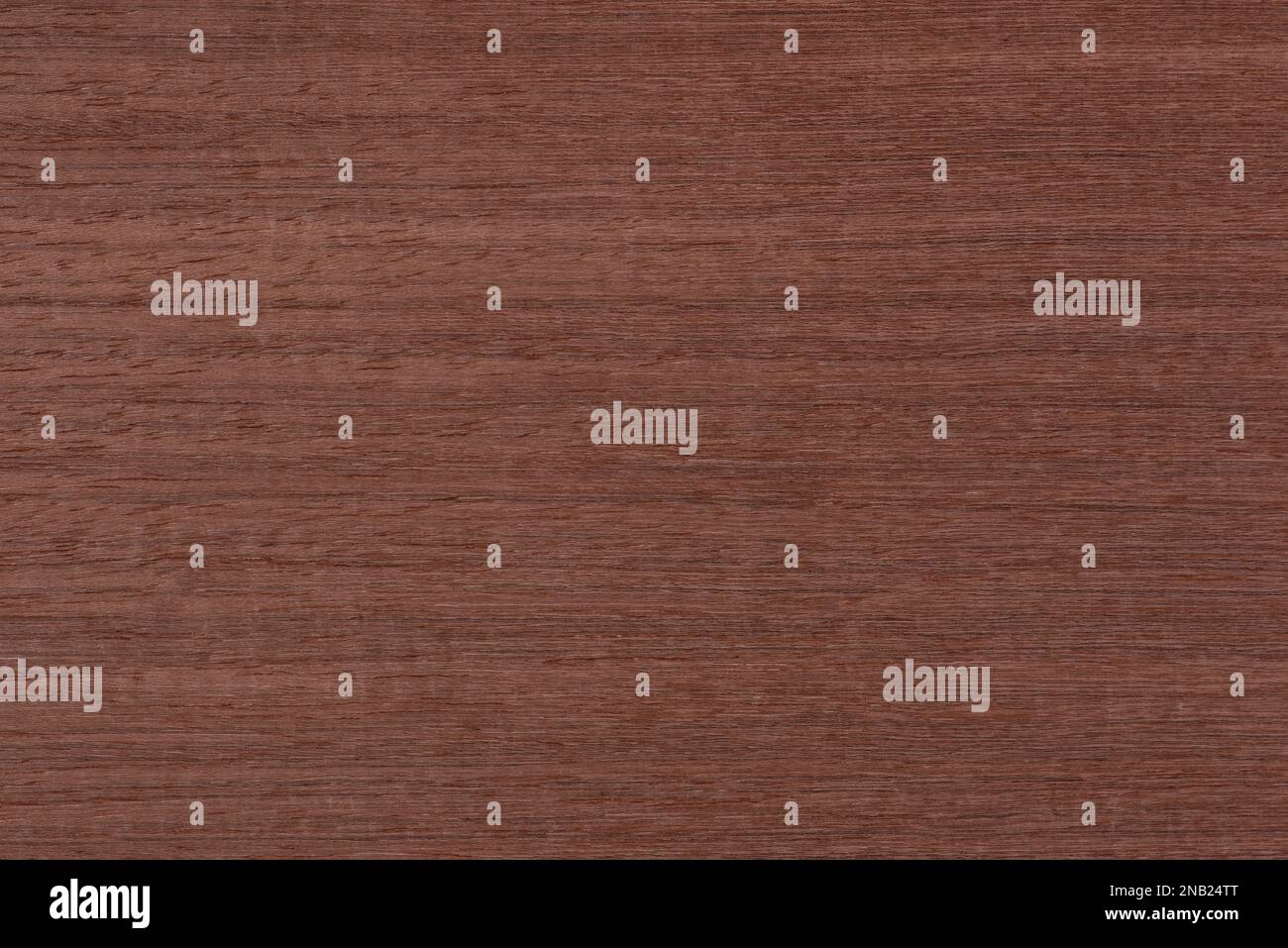 Texture of mahogany. Texture of koto wood with a reddish brown tint