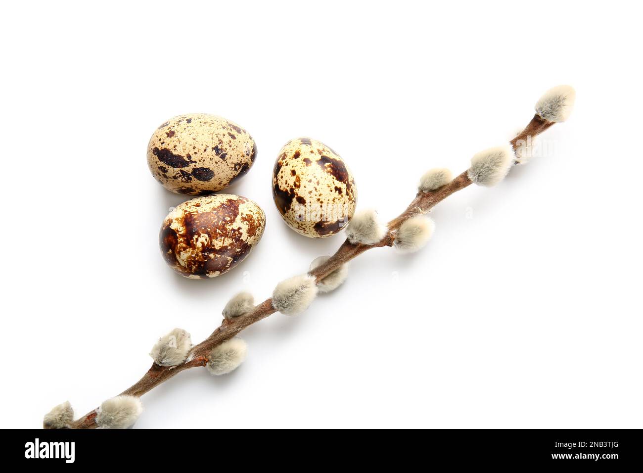 Easter eggs and willow branches on white background Stock Photo - Alamy