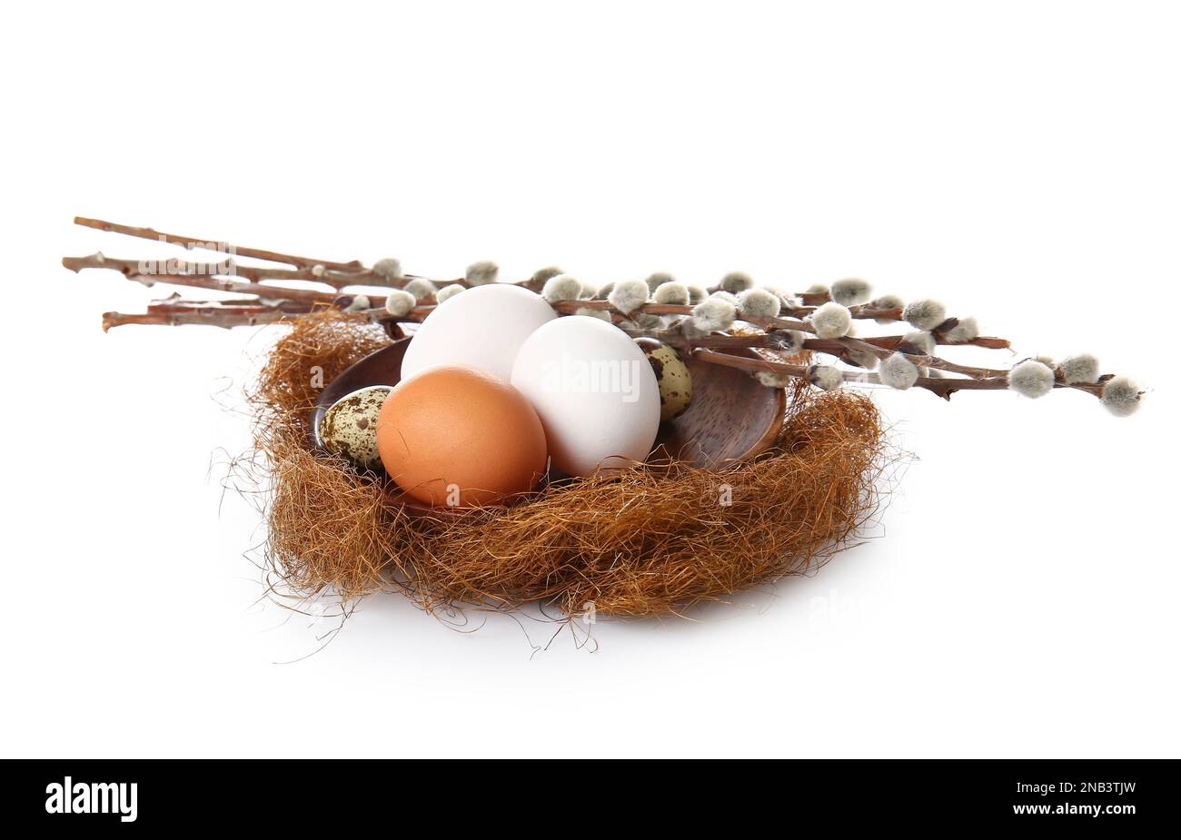 Nest with Easter eggs and willow branches isolated on white background ...