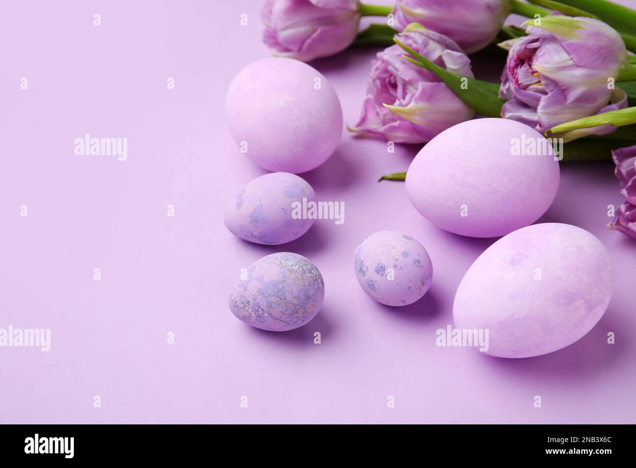 Easter eggs and beautiful tulip flowers on lilac background, closeup