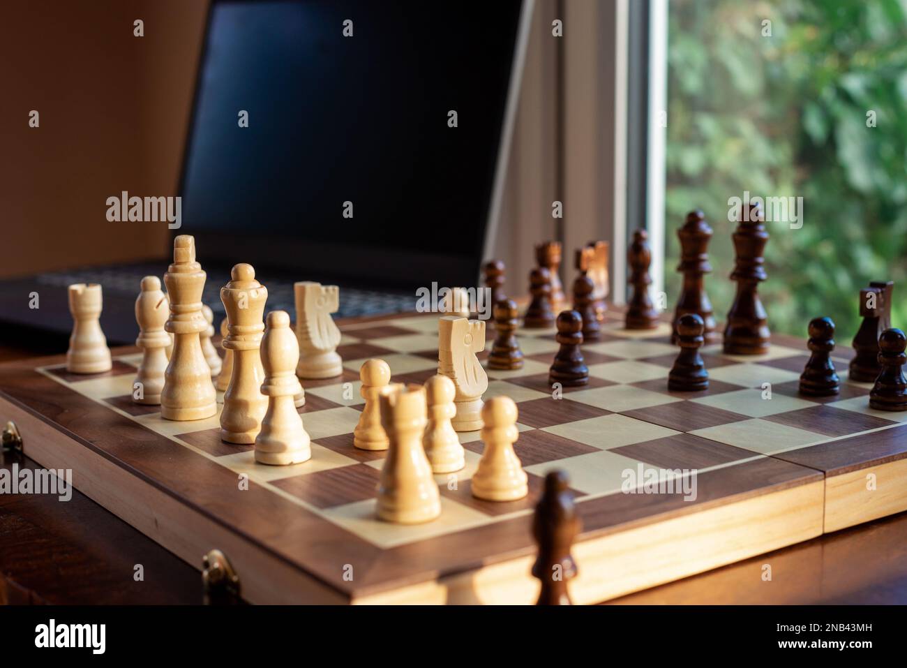 Premium Photo  Playing chess online studying how to play chess