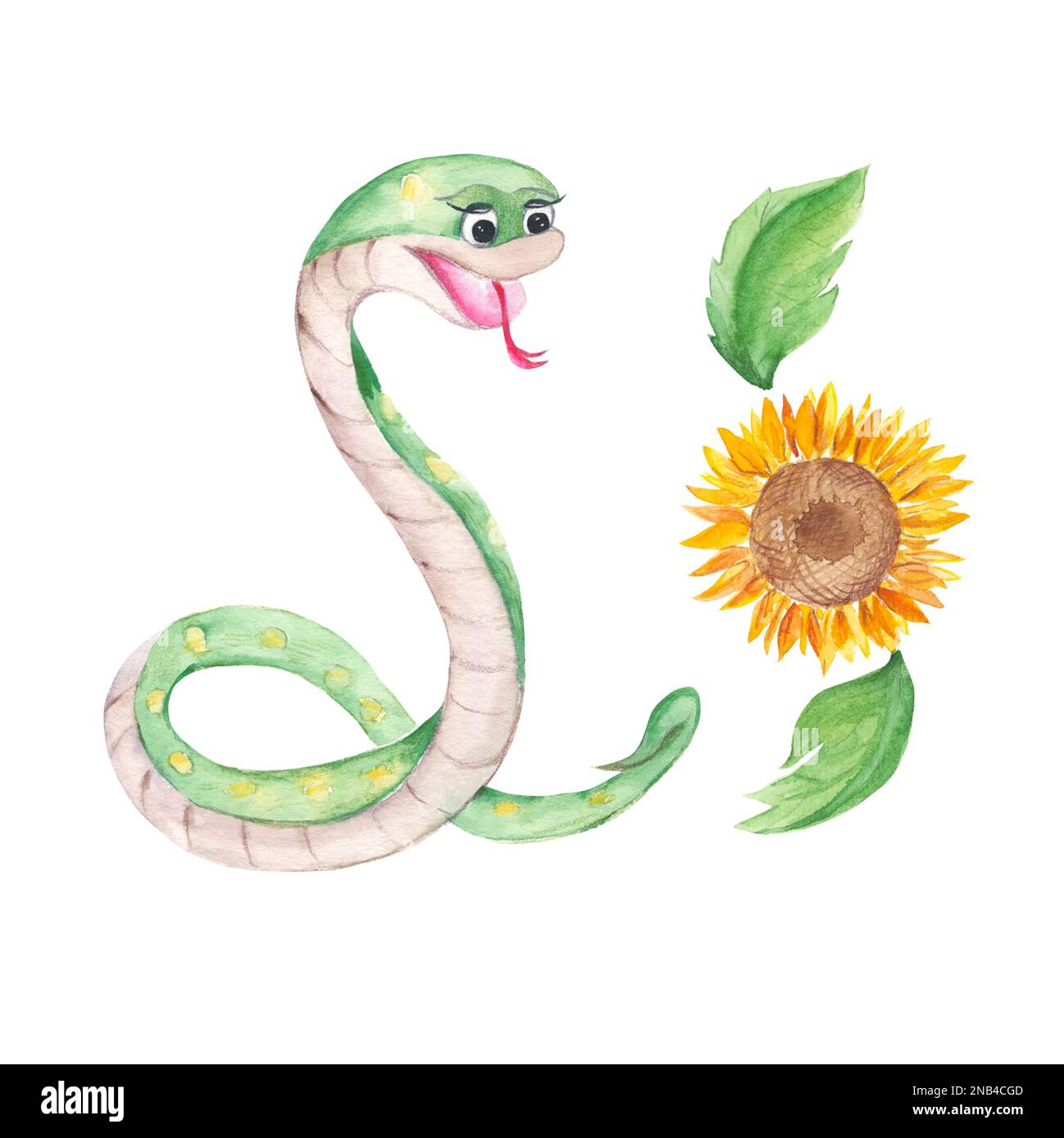 Cute snake and sunflower isolated on white background. Watercolor hand drawn illustration