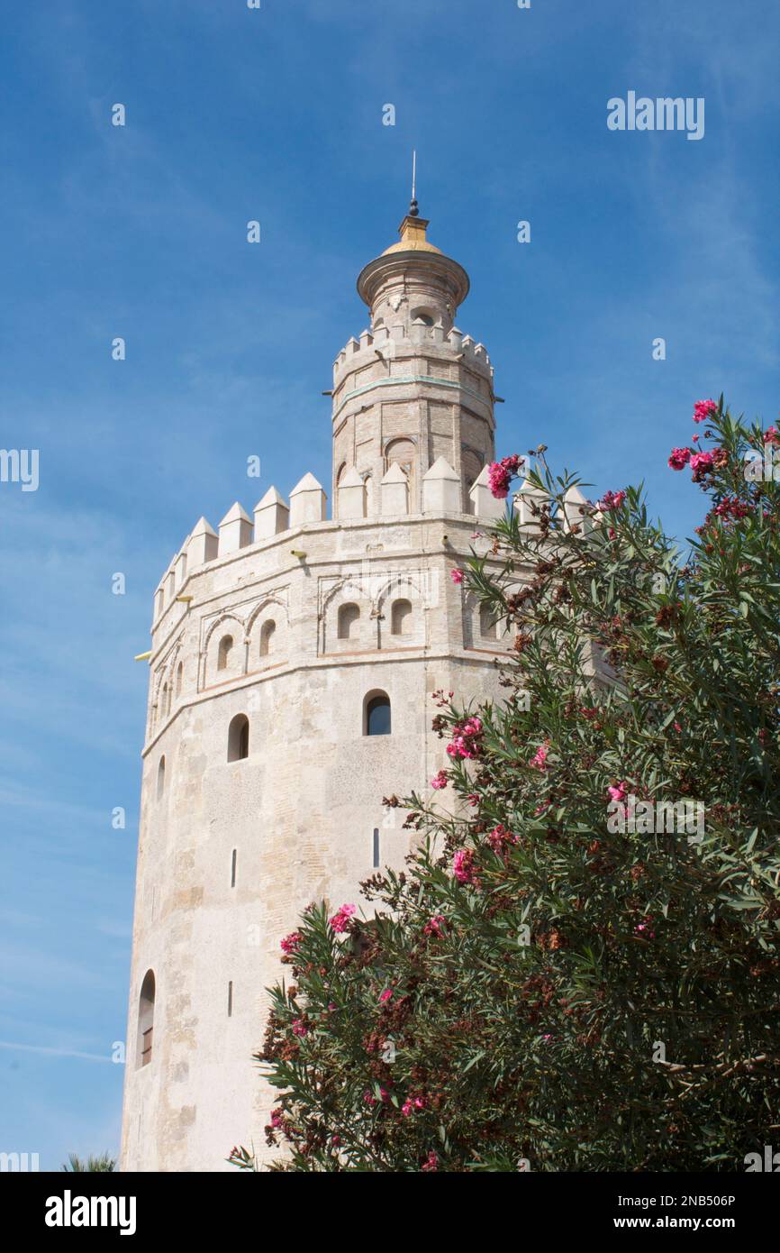 Torre del Oro, Seville, Andalusia,Spain Stock Photo