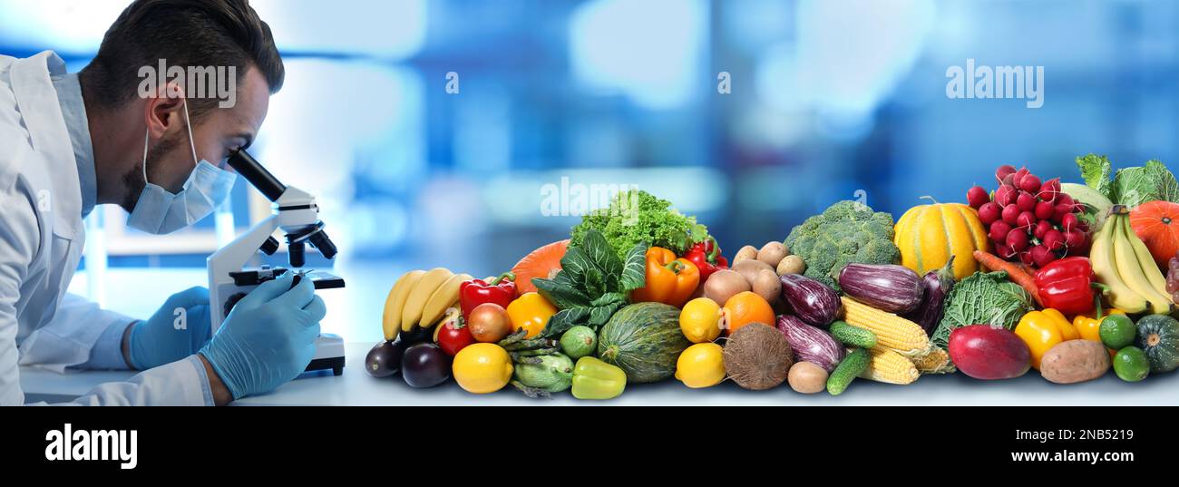 Laboratory banner hi-res stock photography and images - Alamy