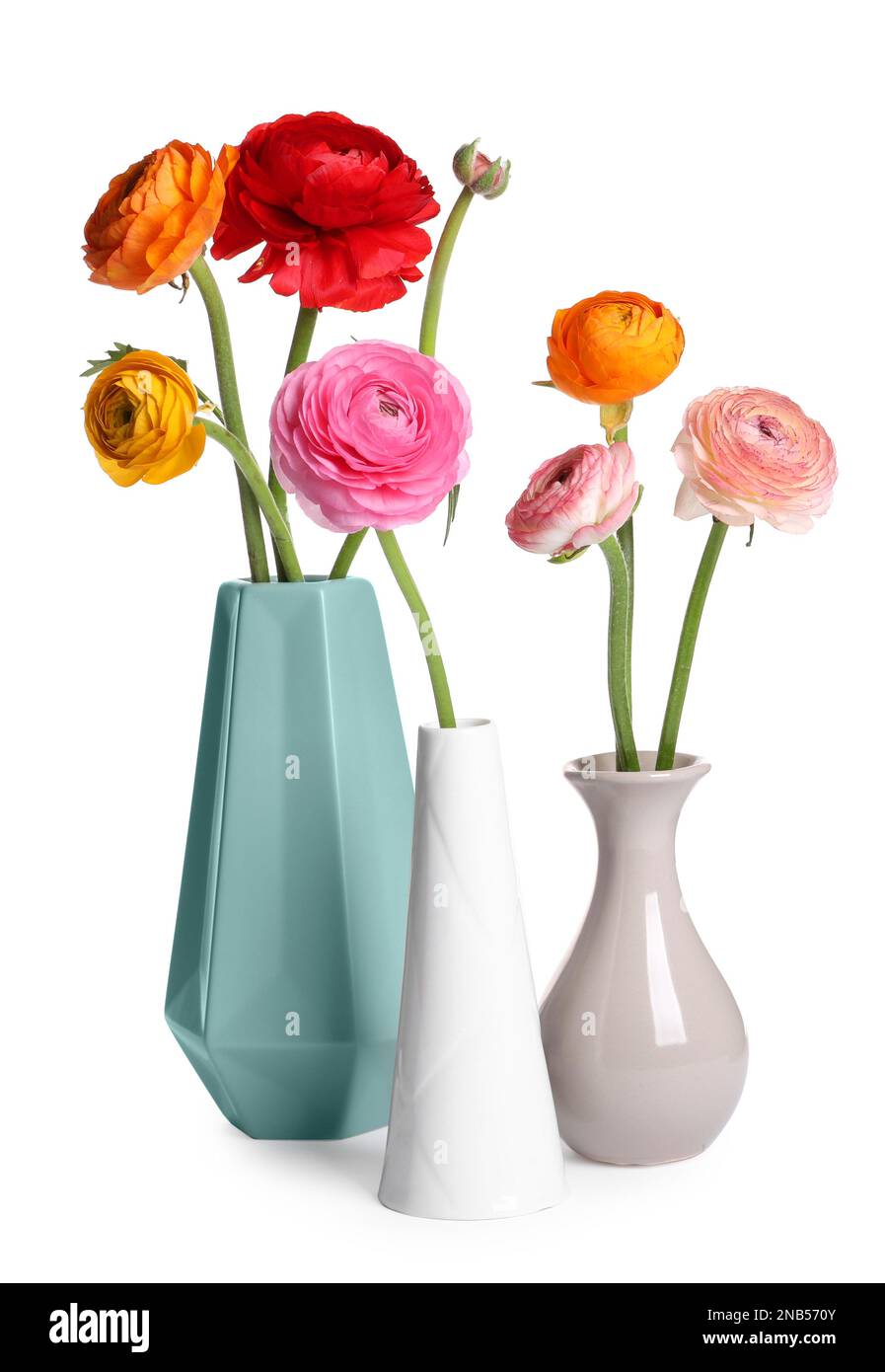 Beautiful ranunculus flowers in vases isolated on white Stock Photo - Alamy