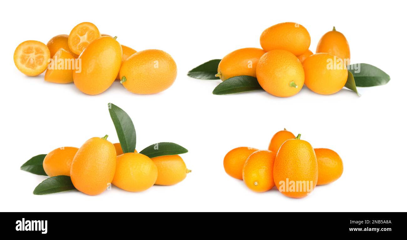 Set with fresh ripe kumquat fruits on white background. Banner design
