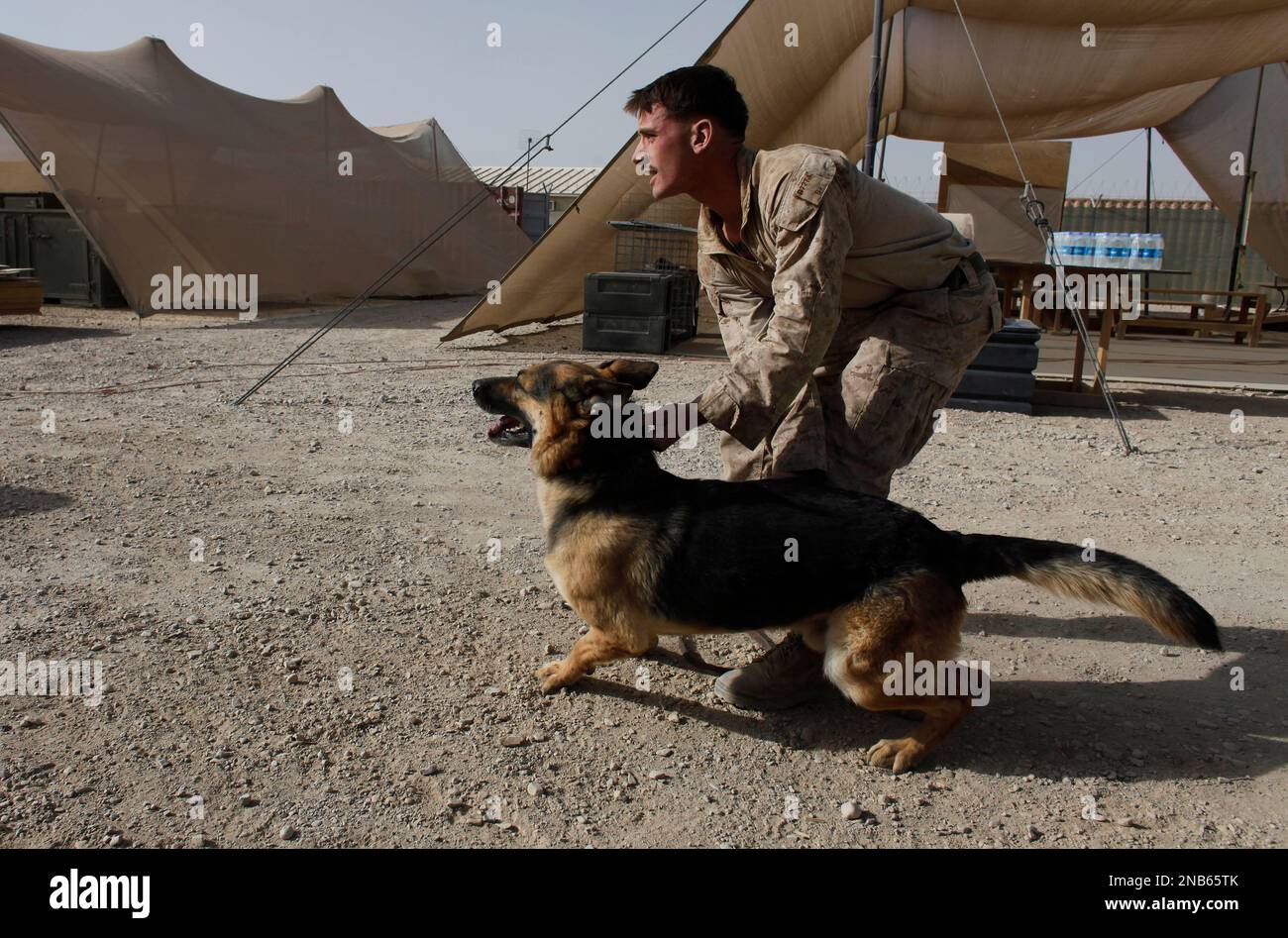 In this Sept. 14, 2011 photo, U.S. Marine dog handler Lance Cpl. Erik