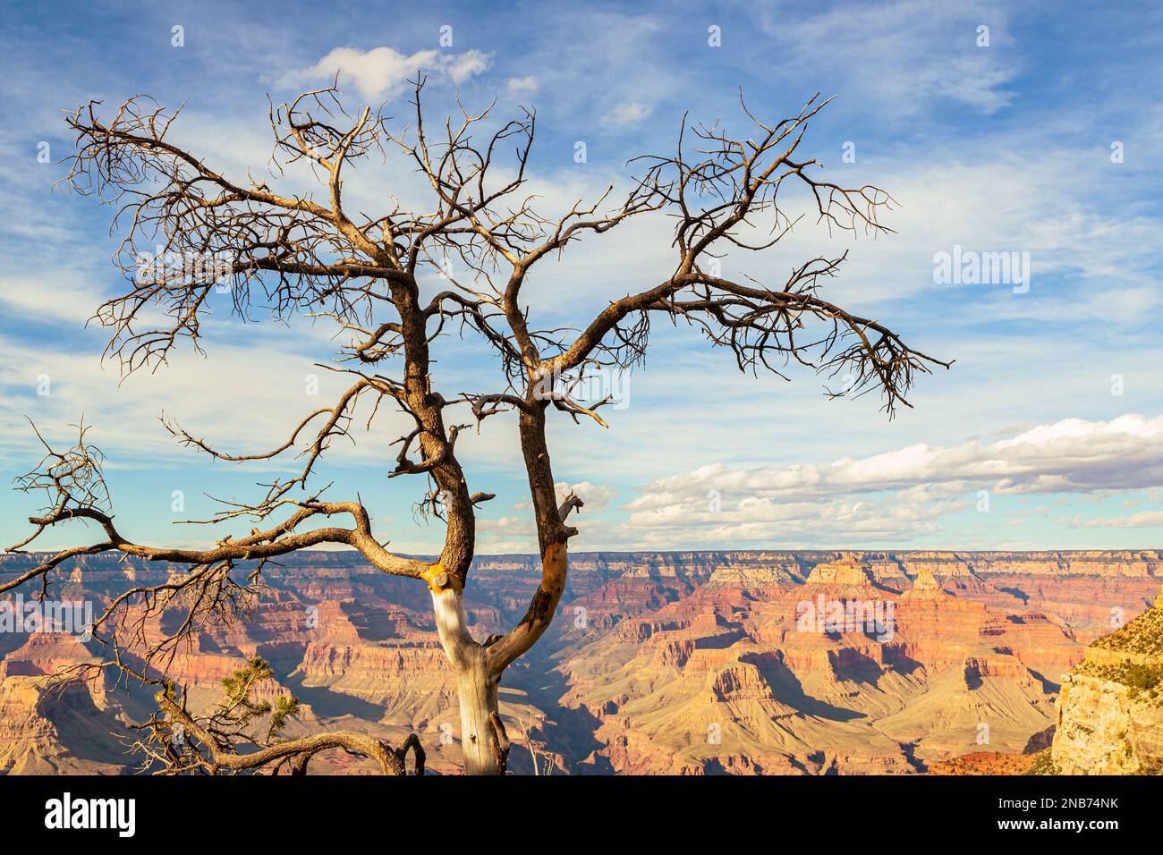 Grand Canyon in Arizona, USA. Skyline of Grand Canyon National Park. Panorama in beautiful nature landscape scenery at sunset in Grand Canyon National Park. Stock Photo