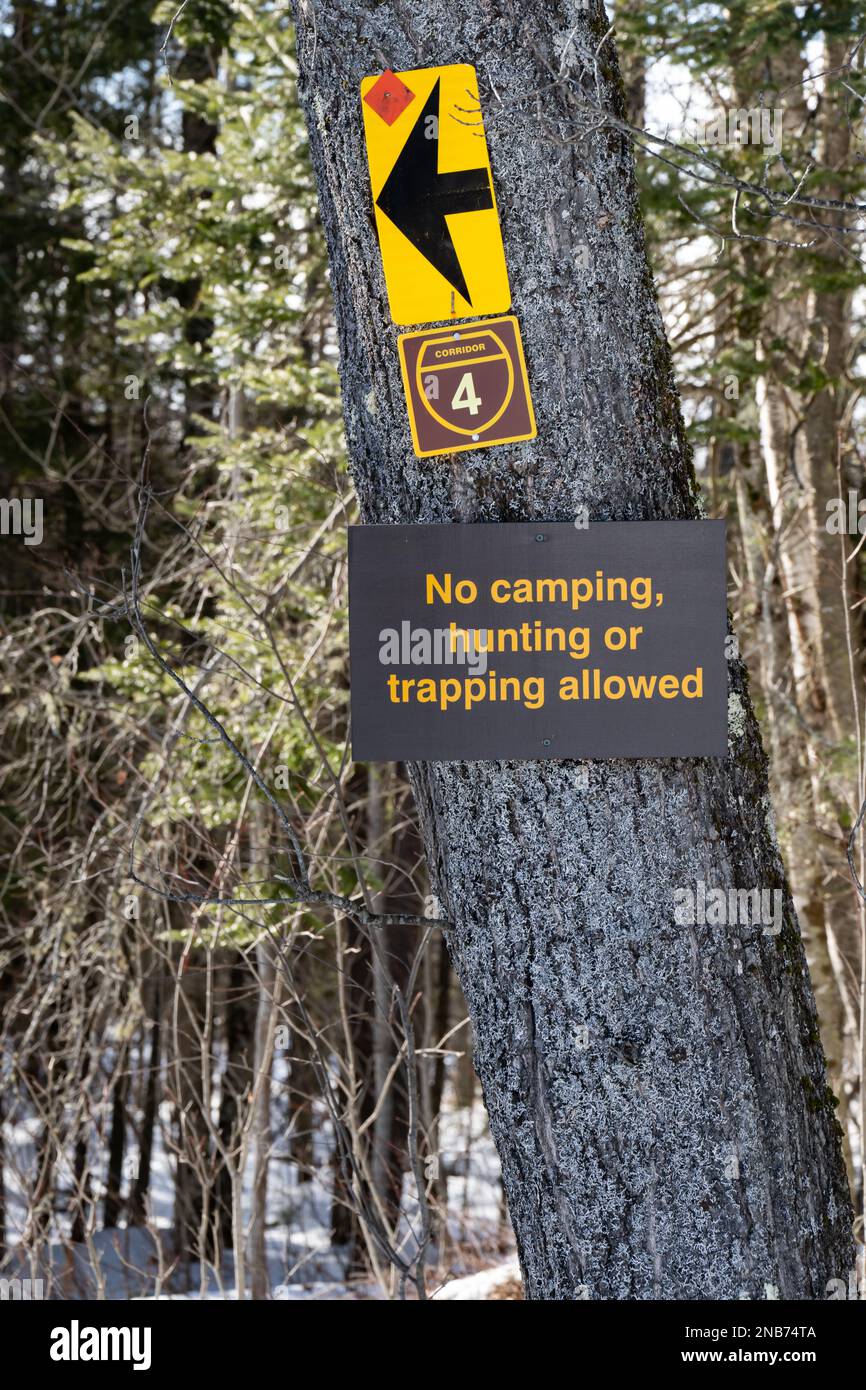 Signs on a tree on a snowmobile trail in the Adirondack Mountains indicating no camping hunting or trapping allowed Stock Photo