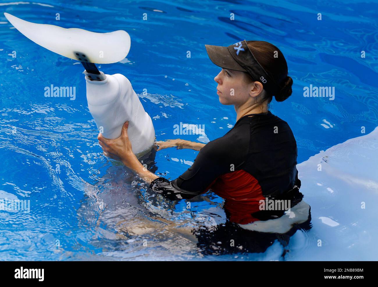 In this Aug. 31, photo, Clearwater Marine Aquarium senior marine mammal