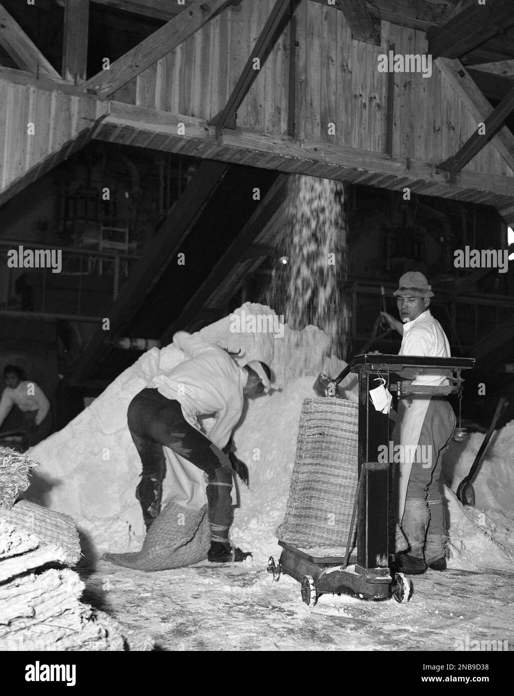 The dehydration process completed the finished product rolls from the