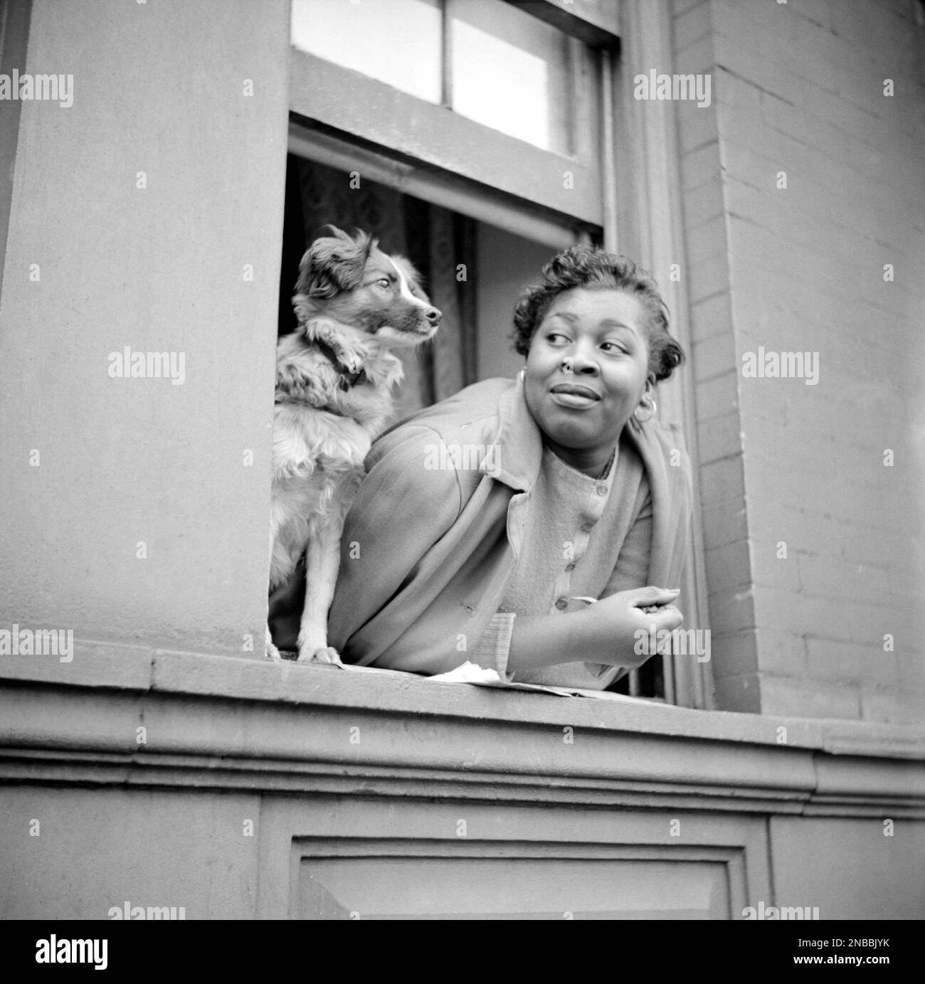 1944 , NEW YORK , NY , USA :  An Afro American woman and her dog at window in the Harlem section . Photo by celebrated American  reporter photographer GORDON PARKS ( 1912 - 2006 ) at work for the U.S. Farm Security Administration , Office of War Information . Overseas Picture Division. Washington Division . - HISTORY - FOTO STORICHE - ANNI QUARANTA  - 40's - '40 - STORIA DELLA FOTOGRAFIA - HISTORY OF PHOTOGRAPH - smile - sorriso - DONNA ALA FINESTRA - di COLORE - CANE - DOG - Pet animal - STREET PHOTOGRAPHY - afroamericana - Afroamericani - African Americans  - Black Americans - Afro-Americans Stock Photo