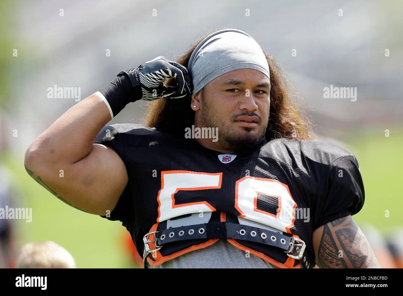 Maualuga jersey online