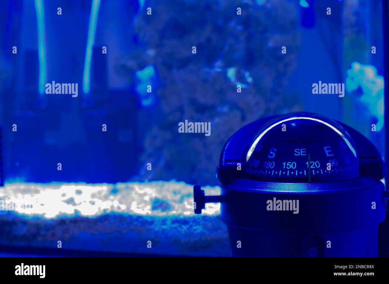 Compas nautic hi-res stock photography and images - Alamy