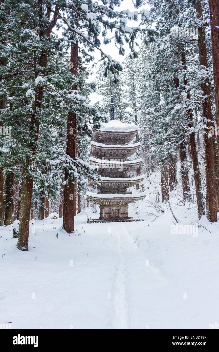 sanzoku mountain derutas tiga 虎 derutas大/sanzoku mountain | サンゾクマウンテン